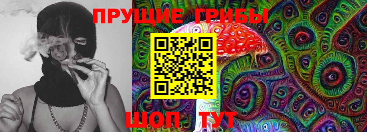 Псилоцибиновые грибы мицелий Усть-Илимск